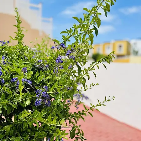 Orlando Tenerife Sea View - Pool - Ac * Costa Adeje (Tenerife)