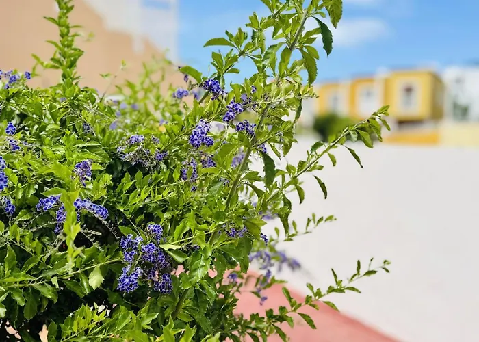 Orlando Tenerife Sea View - Pool - Ac * أذيخي